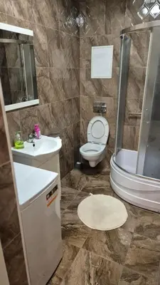 a bathroom with a toilet and a sink and a shower at Plytų Sienos Apartamentai in Kaunas