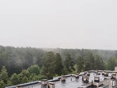 a group of houses in the middle of a forest at Horses Forests Lakes Shops in Visaginas