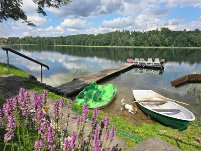 a boat and a dog at a dock on a lake at Gintarinė rasa in Inkartai