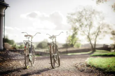 two bikes parked next to each other on a dirt road at Paliesiaus Dvaras in Mielagėnai