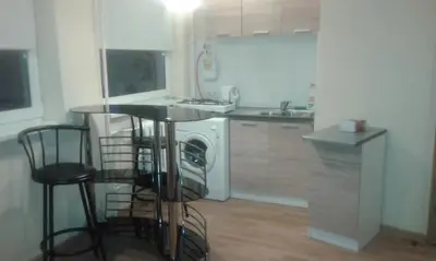a kitchen with a counter and a dishwasher in it at 1 kambario butas in Panevėžys