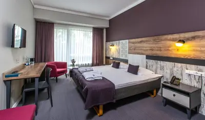a hotel room with a bed and a desk at UPA Medical SPA in Druskininkai