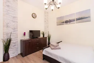 a bedroom with a bed and a tv on a dresser at Apartamentai 555 in Vilnius