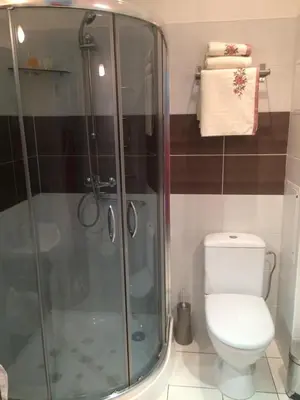 a bathroom with a shower and a toilet at Kranto Luxe Stay in Panevėžys