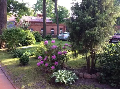 a garden with pink flowers in a yard at Kranto Luxe Stay in Panevėžys