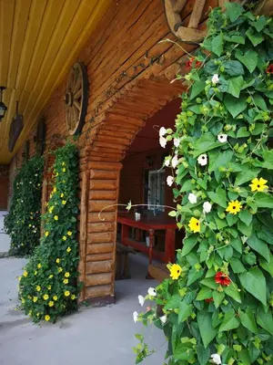 an outdoor room with a wooden building with flowers at Kryzbarkas in Degučiai