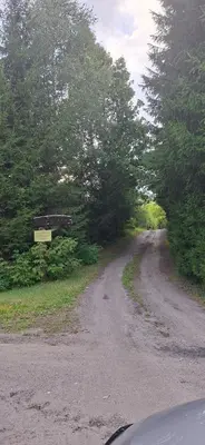 a dirt road with trees on the side of it at Kryzbarkas in Degučiai