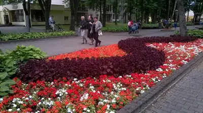 a flower bed in a park with people walking around it at Saulės Sonata Etude in Druskininkai