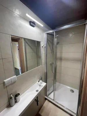a bathroom with a shower and a sink and a mirror at Akmenine Kerpe in Marijampolė