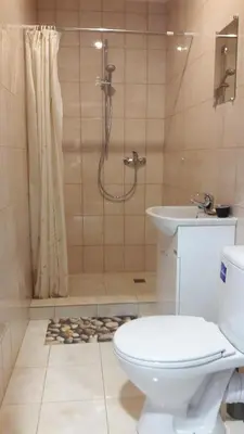 a bathroom with a shower and a toilet and a sink at Sveciu Namai- Kazlu Ruda in Kazlų Rūda