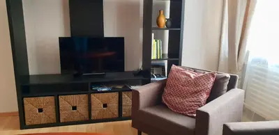 a living room with a chair and a television at Cozy Center Apartment in Druskininkai in Druskininkai