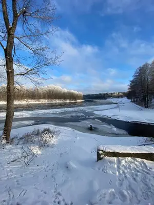 a river with snow on the ground next to a tree at Cozy Center Apartment in Druskininkai in Druskininkai