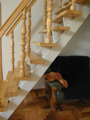 a stair case with wooden steps with a dog sitting under it at Home for Guests Lakštingala in Šiauliai