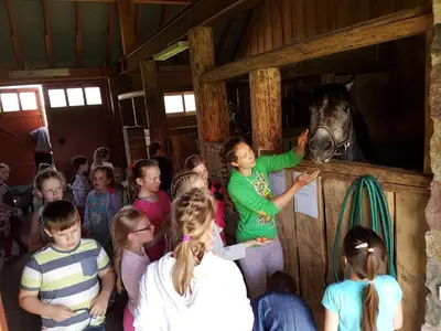 a group of children looking at a woman petting a horse at Sunny Beaver B&B in Trakai