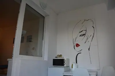 a drawing of a woman on a wall next to a microwave at Kaunas Homestay in Kaunas