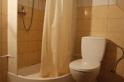 a bathroom with a toilet and a shower at The Jolly Man in Vilnius