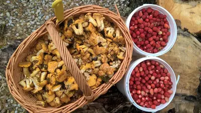 a basket of nuts and berries on a table at Labanoras in Labanoras