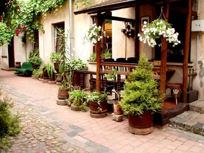 a row of potted plants in front of a building at Gabi B&B in Vilnius