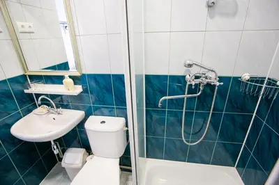 a bathroom with a shower and a toilet and a sink at G-45 in Vilnius
