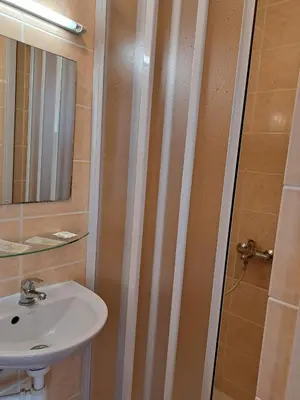 a bathroom with a sink and a shower at Jeruzale Hotel in Vilnius