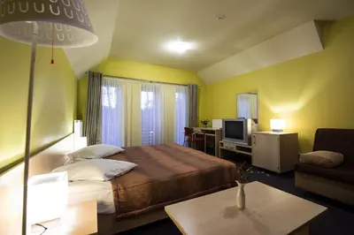 a hotel room with a bed and a television at Hotel Audenis in Birštonas