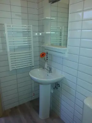 a white bathroom with a sink and a mirror at Hotel Audenis in Birštonas