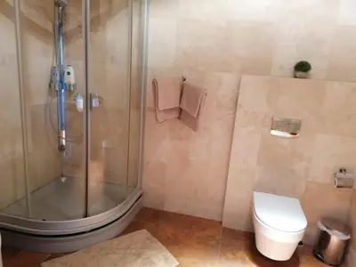a bathroom with a shower and a toilet at Central Druskininkai Apartment in Druskininkai