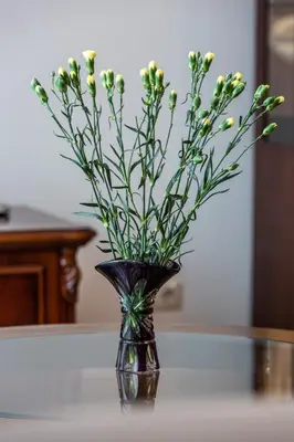 a vase with flowers in it on a table at Violetos Lux Apartamentai in Druskininkai