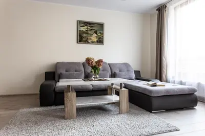 a living room with a couch and a coffee table at Violetos Lux Apartamentai in Druskininkai