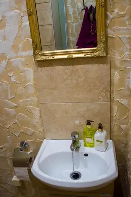 a bathroom with a sink and a mirror and a mirror at Central Apartments Karolina in Druskininkai