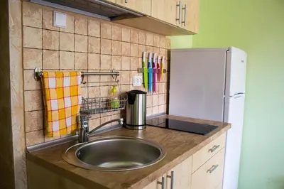 a kitchen with a sink and a refrigerator at Central Apartments Karolina in Druskininkai