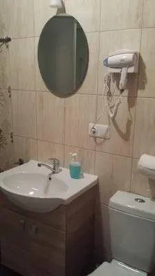 a bathroom with a sink and a mirror and a toilet at Apartamentai 