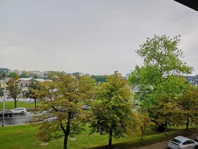 a view of a park with trees and a parking lot at Sky Studio near the Vilnius Center in Vilnius