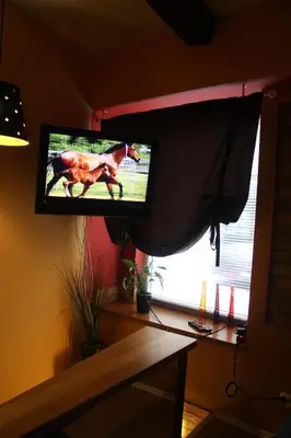 a television with a horse on it in a room at Prie Miesto Vartų in Vilnius