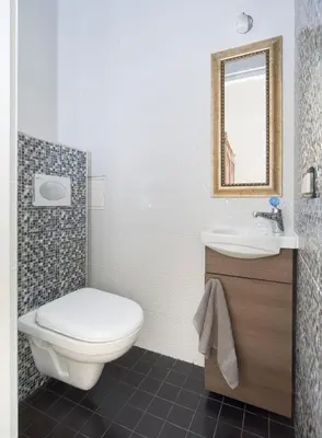 a bathroom with a toilet and a sink and a mirror at Central Apartment in Birštonas