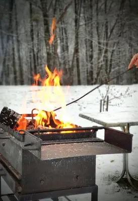 a fire pit with a person pulling a stick at Family house in Druskininkai