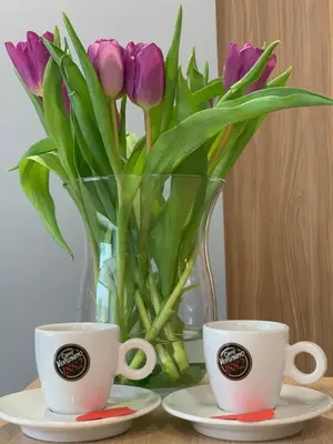 a vase of purple tulips sitting next to two cups at Angel in Druskininkai
