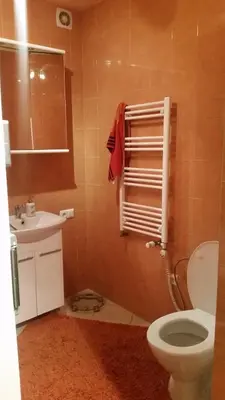a bathroom with a toilet and a sink at Apartments near old town with private parking in Kaunas