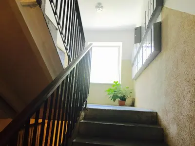 a stairway with a window and a potted plant at Apartment Vilnius Zemaitijos in Vilnius