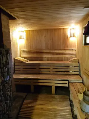 a wooden sauna with two benches in it at Petronių sodyba in Rukliai