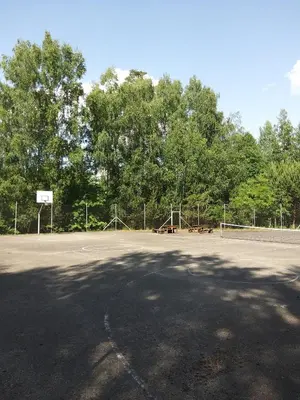 an empty parking lot with a basketball hoop and trees at Petronių sodyba in Rukliai