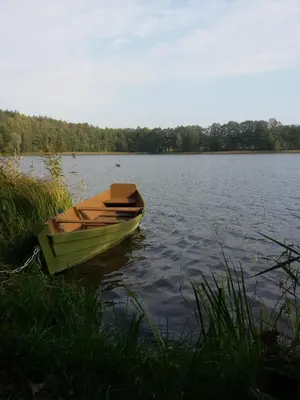 a small boat sitting on the side of a lake at Petronių sodyba in Rukliai