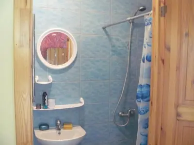 a bathroom with a sink and a mirror and a shower at Centro bustas in Kėdainiai
