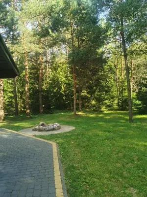 a path in a park with trees and grass at Namelis su pirtele in Druskininkai