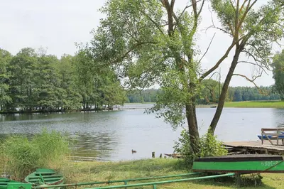 a lake with a dock and a duck in the water at Apartamentai Tarp trijų ežerų in Tytuvėnai