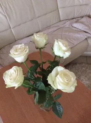 a vase filled with white roses on a table at Kotedžai Milikonių g. in Kaunas