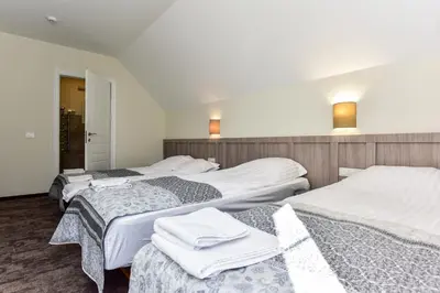 a group of three beds in a room at Auroradream in Motiejiškės