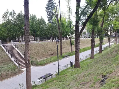 a path in a park with benches and trees at Agnės svečių namai in Kaunas