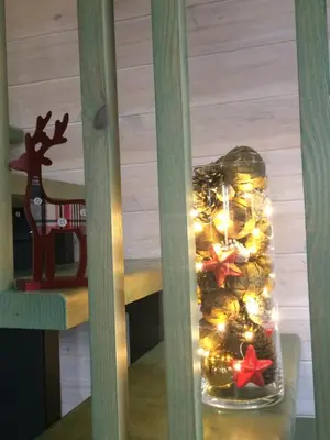 a christmas tree in a jar with lights at Guest House Mr Fox in Druskininkai