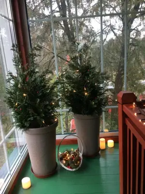 two potted plants on a window sill with christmas lights at Guest House Mr Fox in Druskininkai